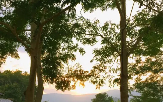 Bortong Thailue Resort