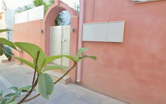 Lemon Tree House