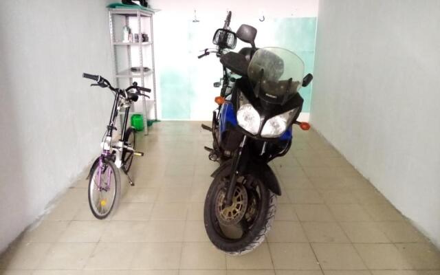 La Posidonia Oceanica