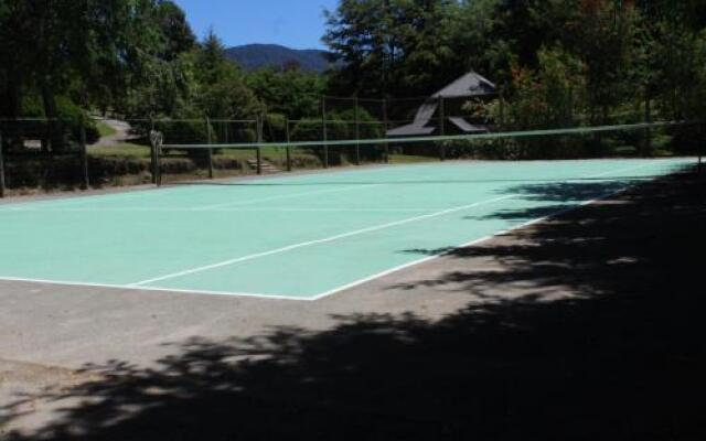 Cabañas Costa Caburgua