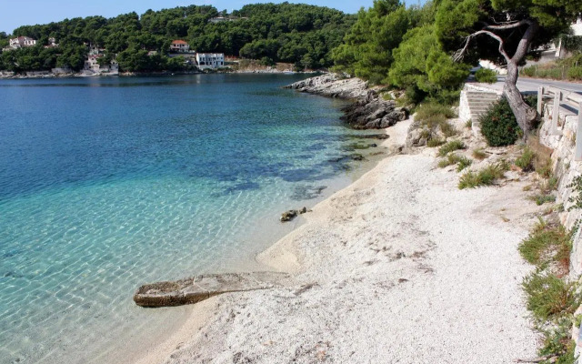 Apartments by the sea Sumartin, Brac - 2940