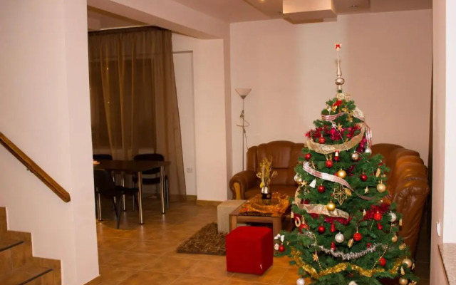 Cabana Andreea Telescaun