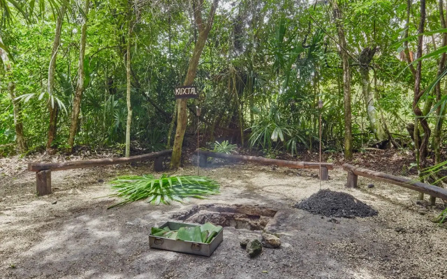 The Explorean Selva Maya Kohunlich