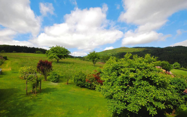 Apartment in Kleines Wiesental, Sallneck