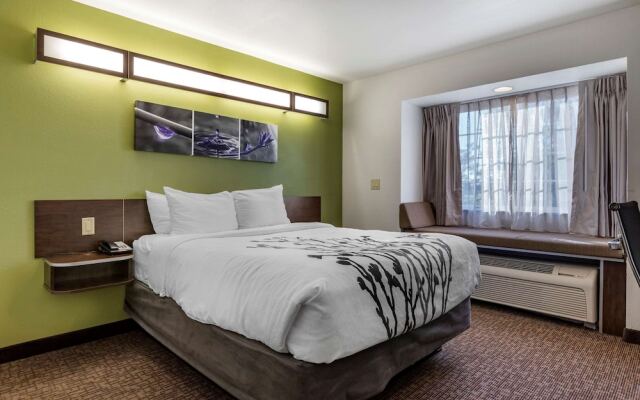 Microtel Inn Suites By Wyndham Kalamazoo