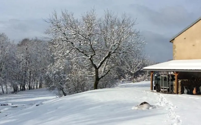 Le Fuligule Morillon