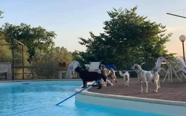 Setter House Agri Hotel