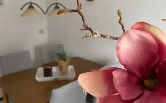 Ferienhaus am Hammrich