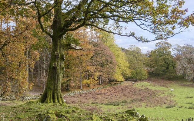 Rowan - Woodland Cottages