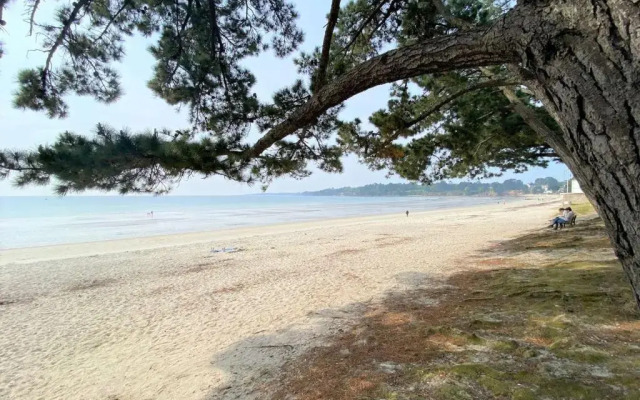 Appartement Fouesnant, 2 pièces, 4 personnes - FR-1-481-109