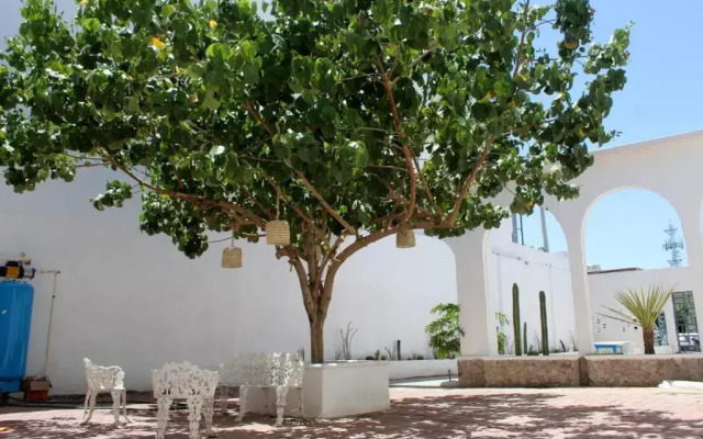 Hotel Casa Hidalgo