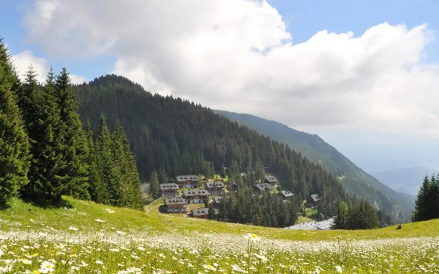 Apartment MOUNTAIN PARADISE Golte