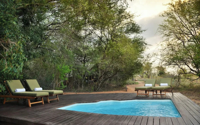 Rhino Walking Safaris