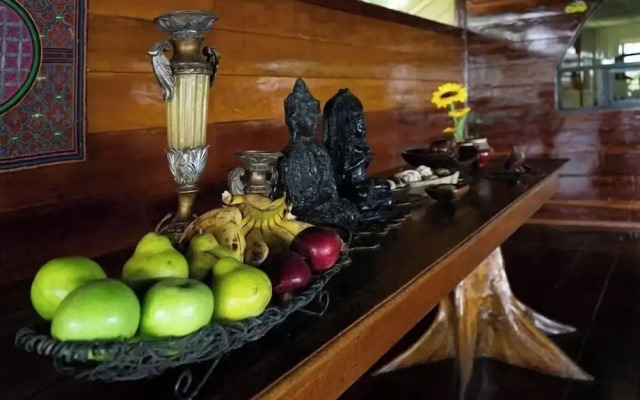 Flower of Life ayahuasca Healing Center