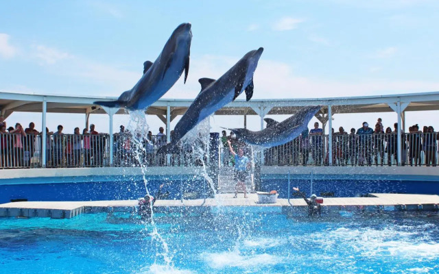 Holiday Inn Resort Fort Walton Beach