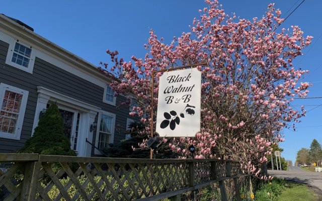 Black Walnut Bed and Breakfast