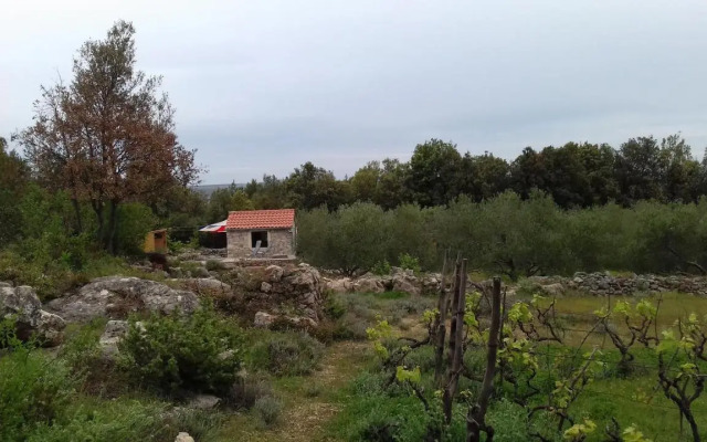 Secluded holiday house Pasman - 15649