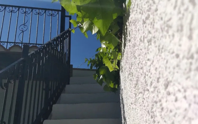 El Violin Experiencia