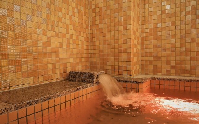 Green Rich Hotel Miyazakitachibanadori 2