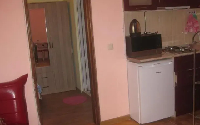 Apartment on Rustaveli avenue