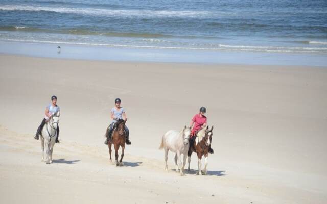 West Coast Luxury Tents- Glamping