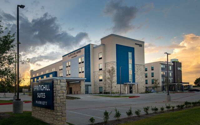 SpringHill Suites by Marriott Dallas McKinney/Allen