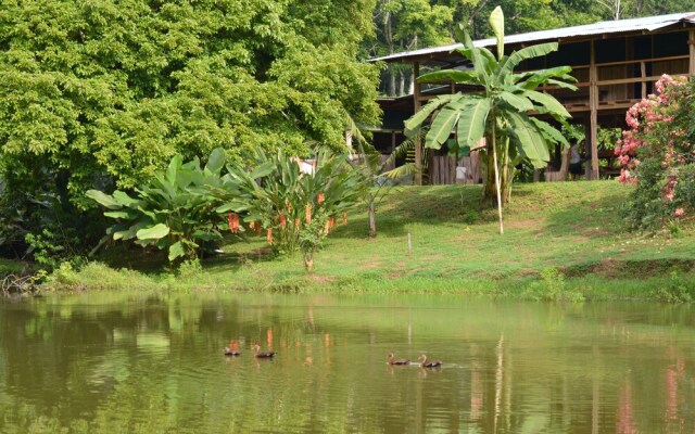 Albergue La Laguna Corcovado Park