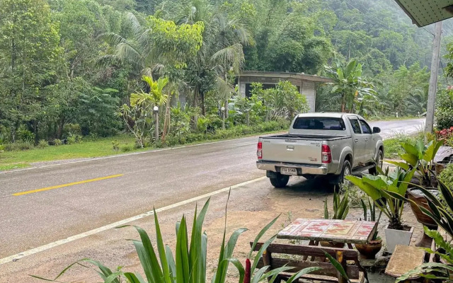 Khaosok Green Mountain View