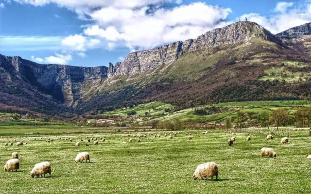 Zikoinaren Txokoa ( El Txoko de la cigüeña )