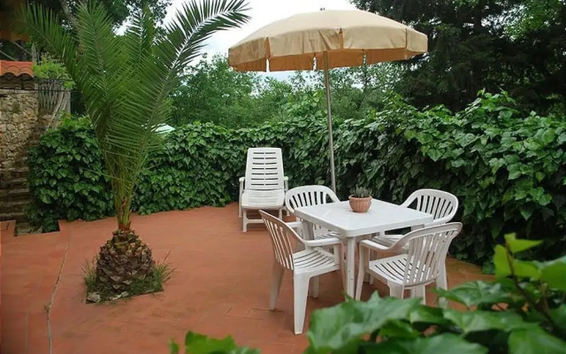 Ulivo in Maltraverso