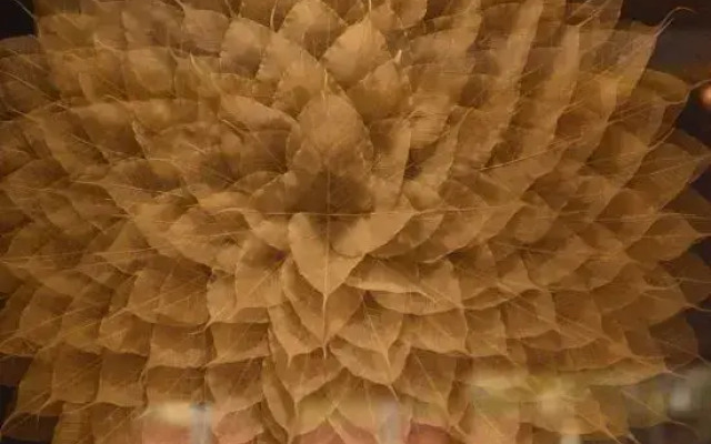 Lijiang Zuihuatang Inn (Shuhe Ancient Town)