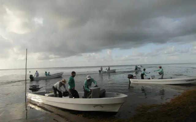 Xcalak caribe Lodge