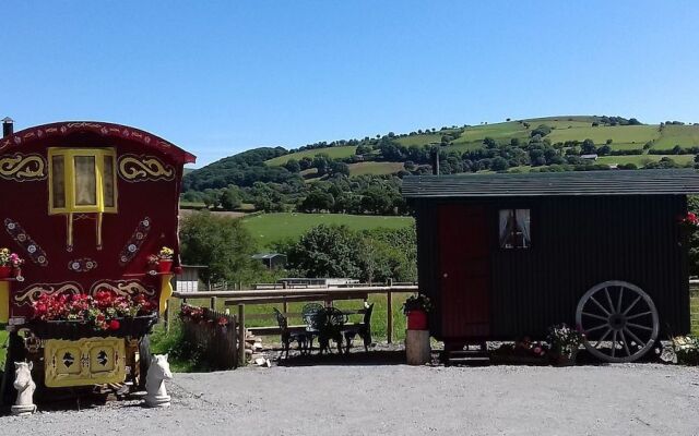 Rosie Traditional Gypsy Wagon