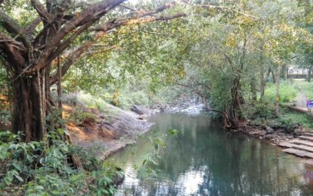 Dudhsagar Plantation