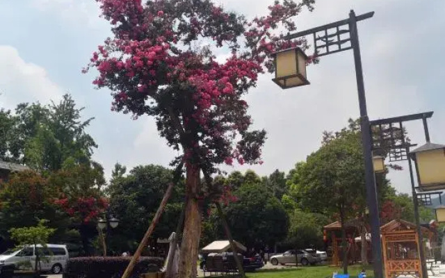 Qingcheng Mountain Qingcheng Garden Hot Spring Hotel