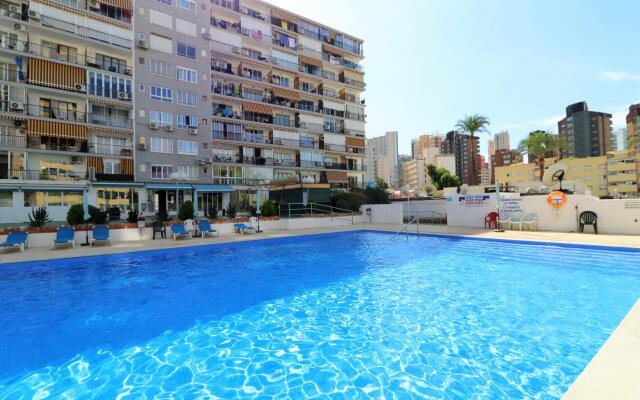 Bermudas 313 in Benidorm