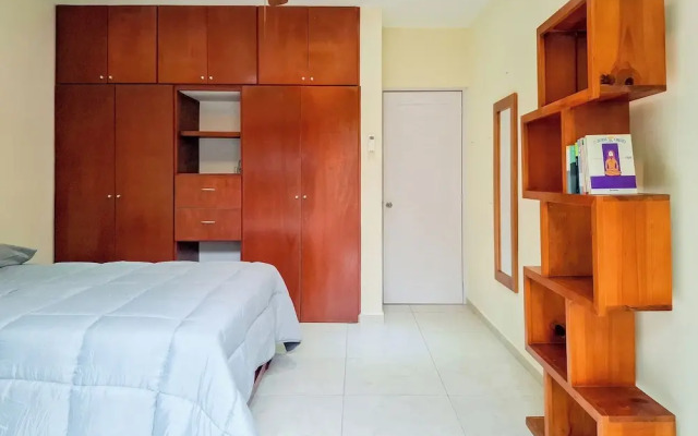 Apt with Pool & jungle in Puerto Morelos