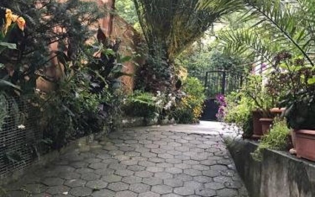 Temo's Guesthouse