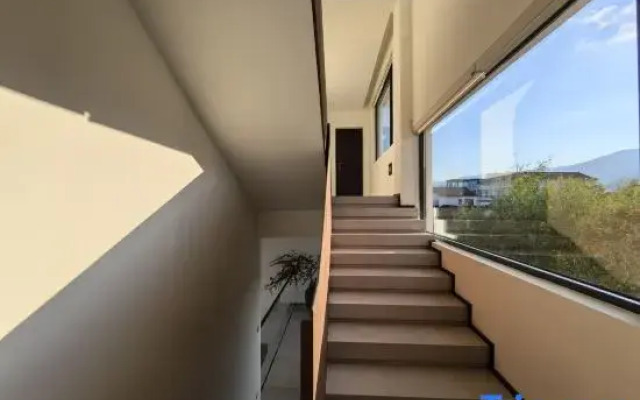 The Artistic Realm of Chenlu Space