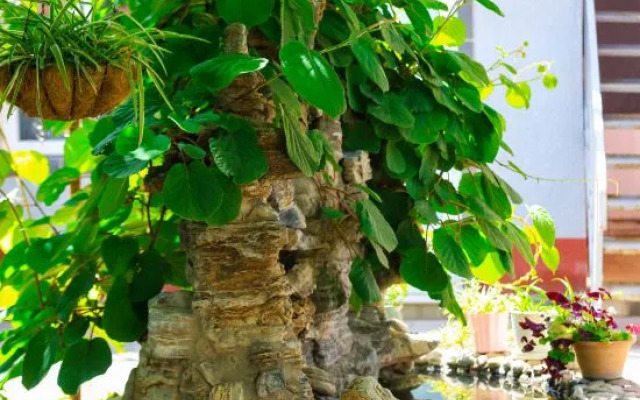 Shidu Nuankexin Homestay