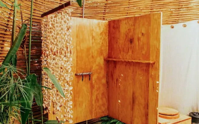 The Seed Habitat