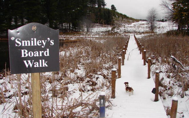 Rawdons Hotel & Brewery