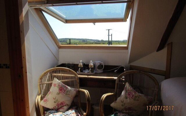 The Birds Nest B&B