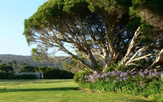 Spring Bay Villas
