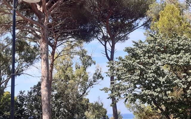 B&B Posidonia