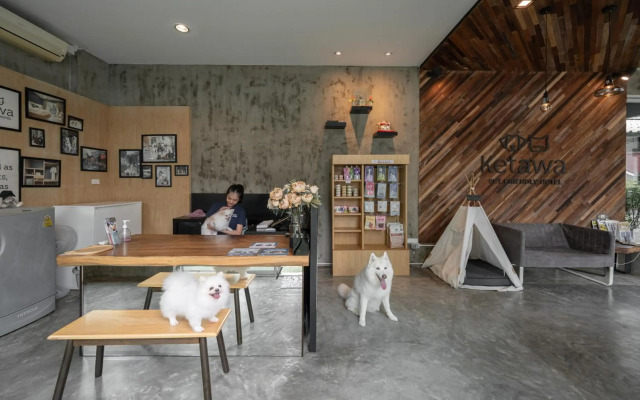 Ketawa Pet Friendly Hotel