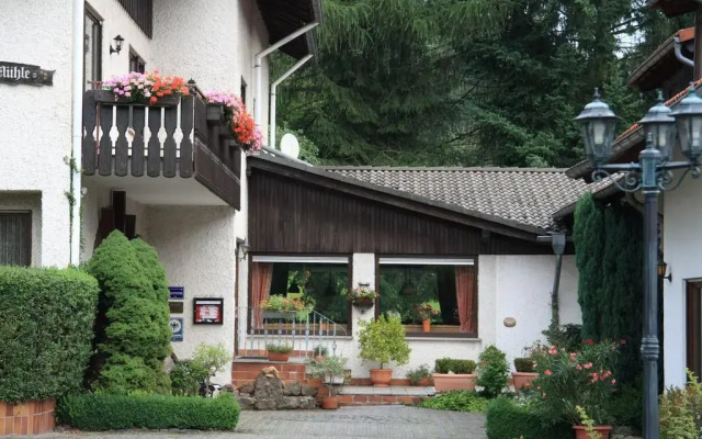 Rhönhotel Alte Mühle