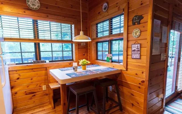 Blue Ridge Parkway Cabin Rentals
