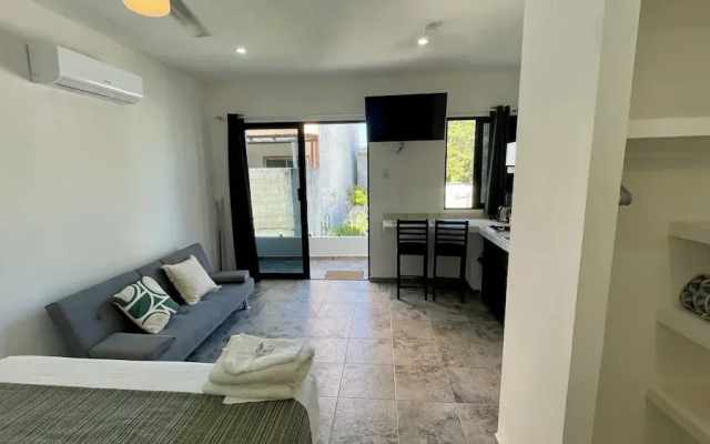 Lavish Studio w Balcony Downtown 4
