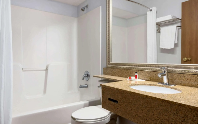 Microtel Inn & Suites by Wyndham Lincoln